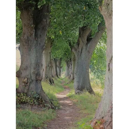 아파트 Reed Path
