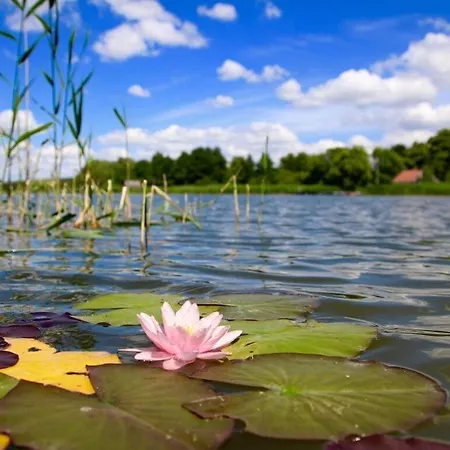 Reed Path 아파트